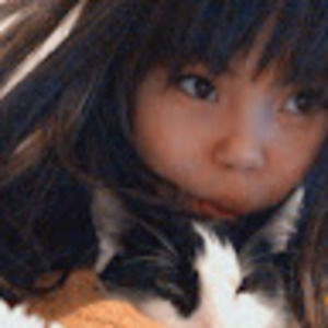 Meet your Posher, Harmonie